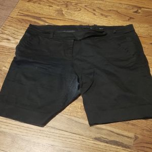 The Limited shorts